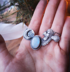 Purity of the Soul Necklace - Blue Jay & Moonstone Necklace