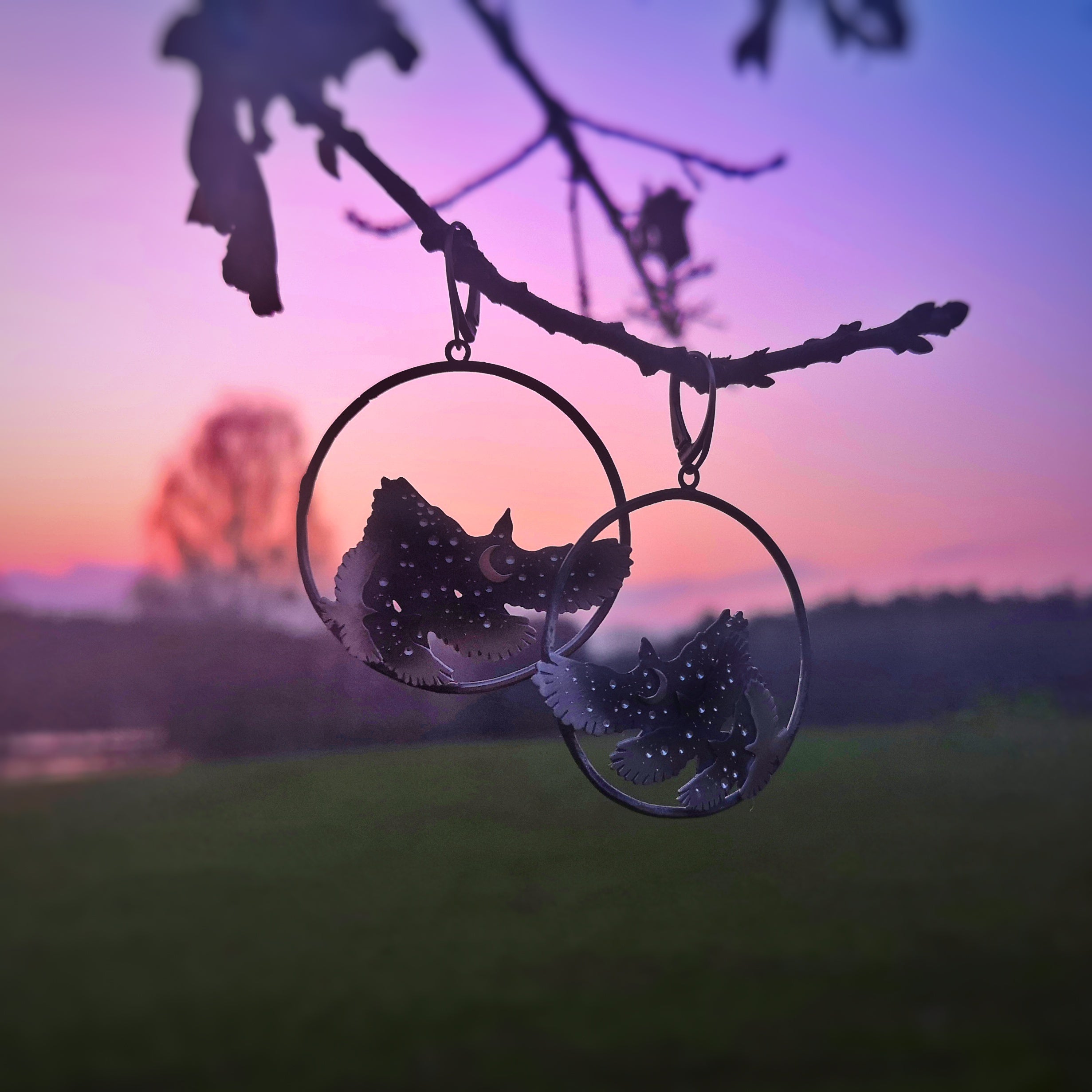 The Ombre Hawk Hoop Earrings