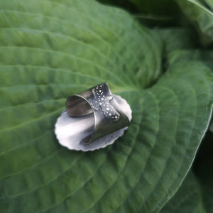 The Blue Labradorite Hawk Ring