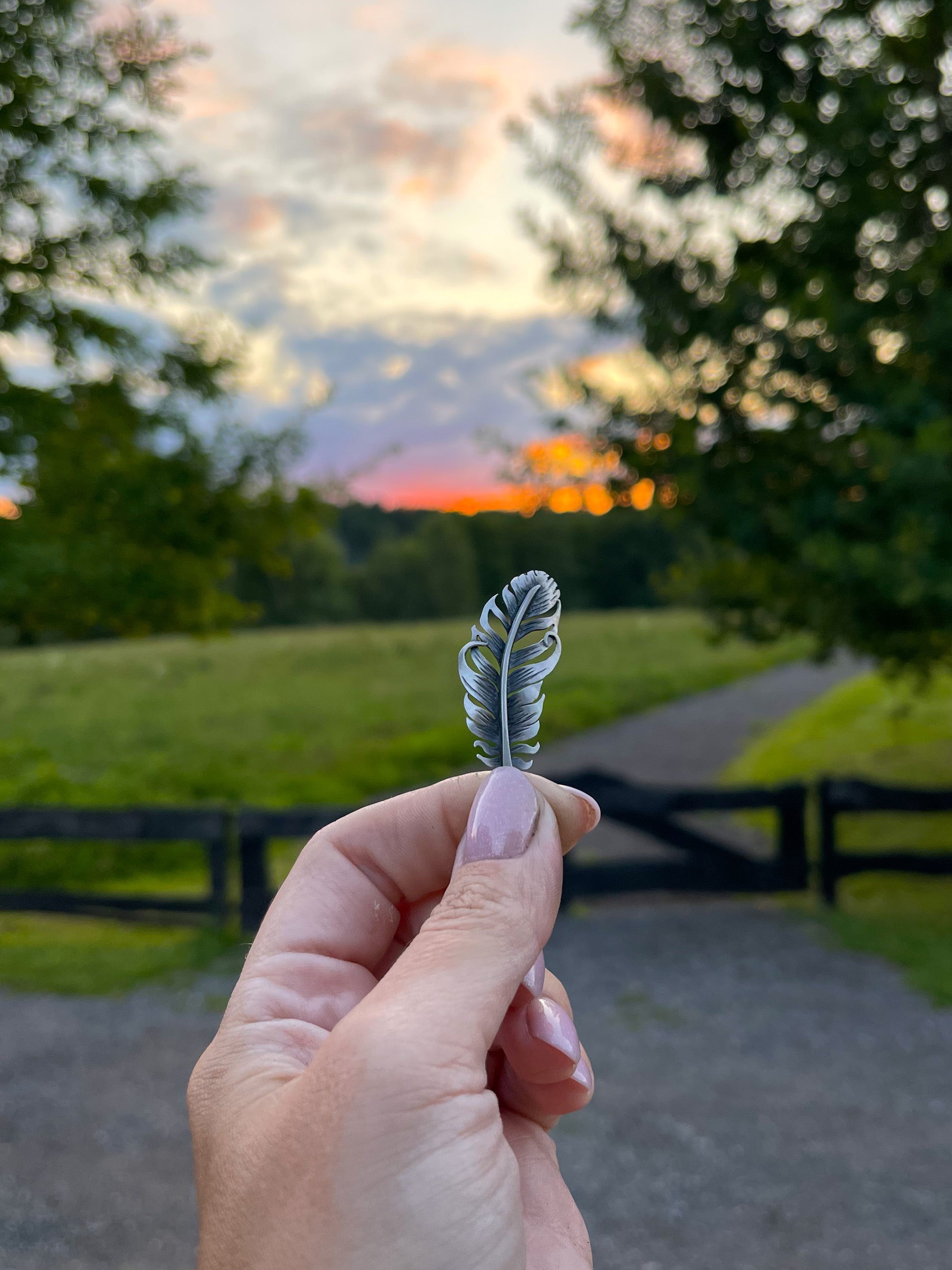 The Feather Necklace